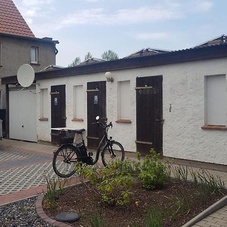 Appartmenthaus Gingst المظهر الخارجي الصورة